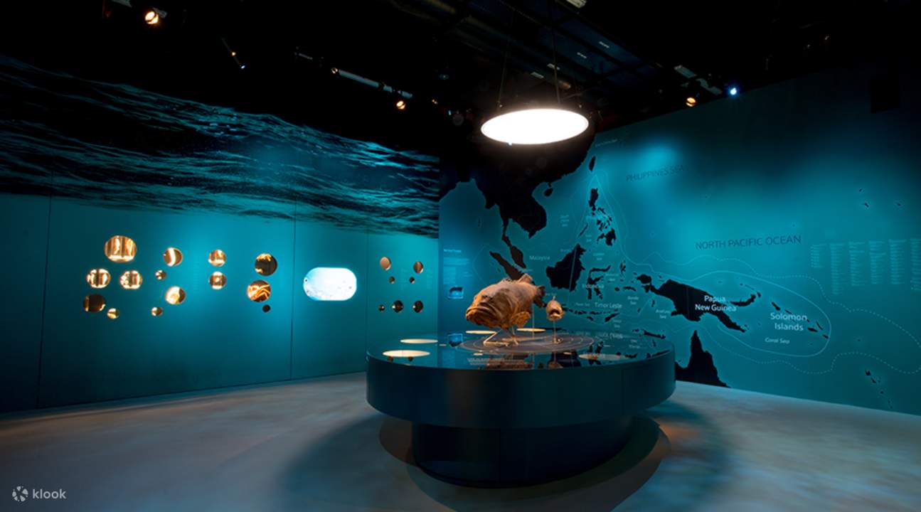 The fossil models showcased at the museum.