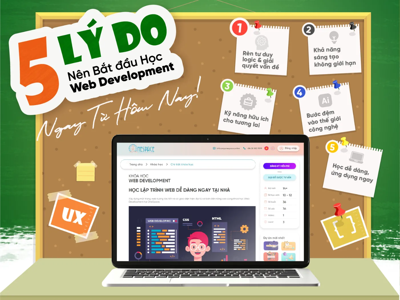 5 Lý Do Nên Bắt Đầu Học Phát triển Web Ngày Từ Hôm Nay!