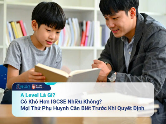 a-level-la-gi